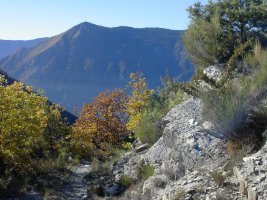 View back down the path