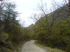 stone road.jpg stone road.jpg
