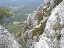 road to Caille road to Caille