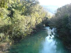 down river.jpg down river.jpg